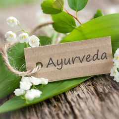 Ayurveda workshop med doktor Heidi Nordlund